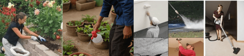 Gardening and Cleaning Service in South London