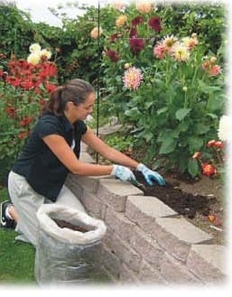 Gardening in South London