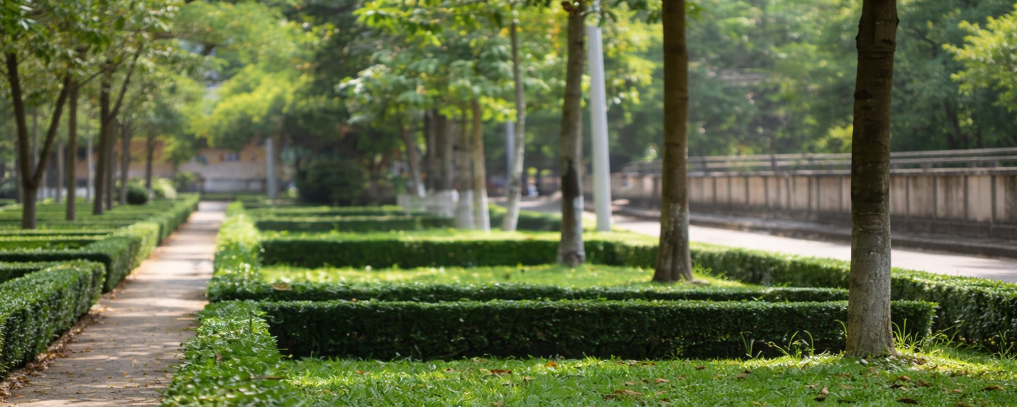 Gardening Services Battersea