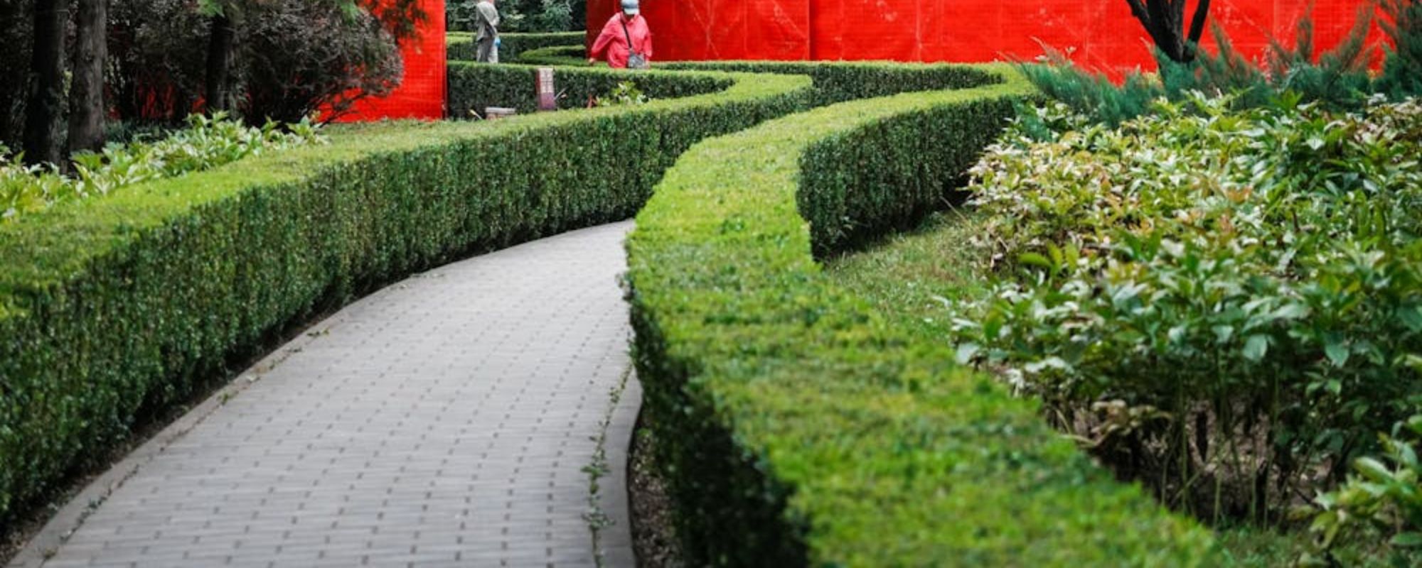 Gardening Services Beckenham