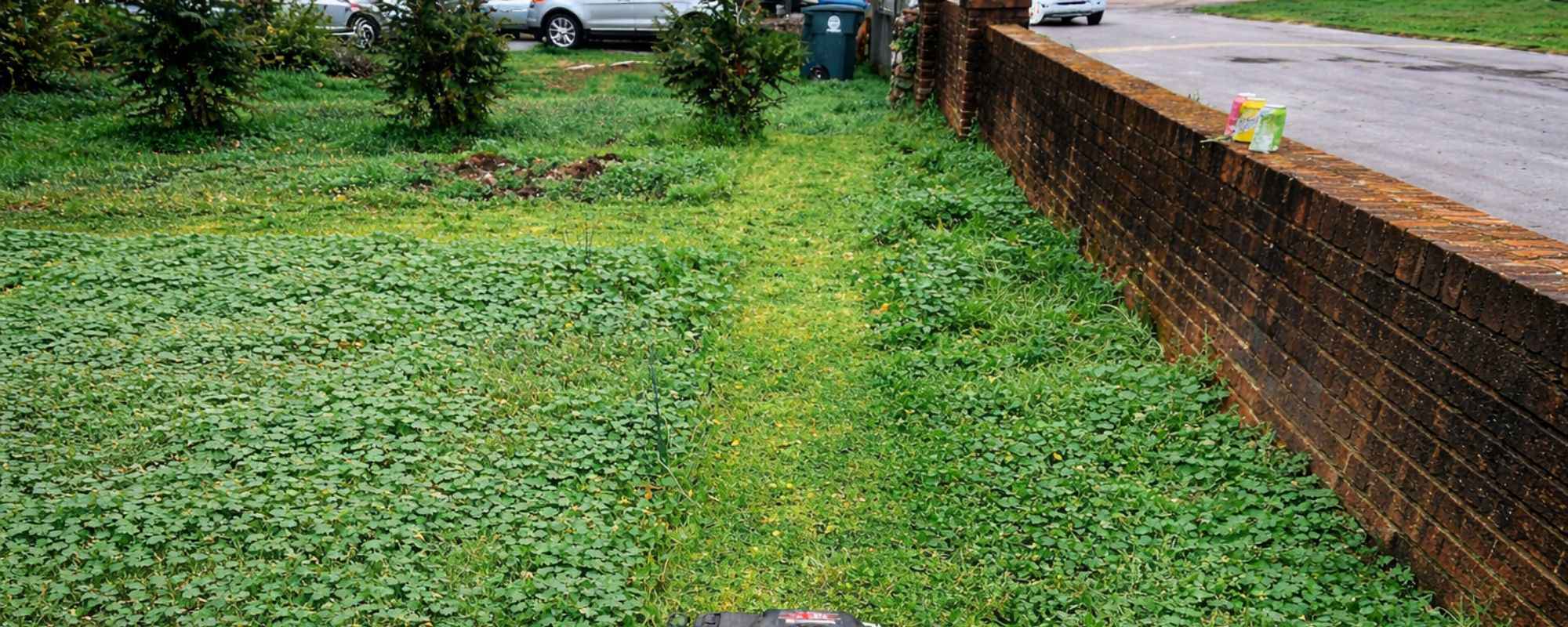 Gardening Services Bromley