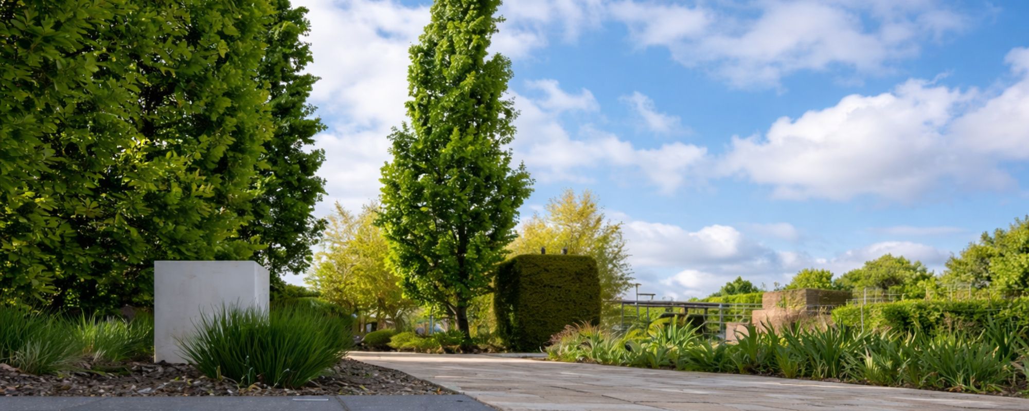 Gardening Services Chislehurst