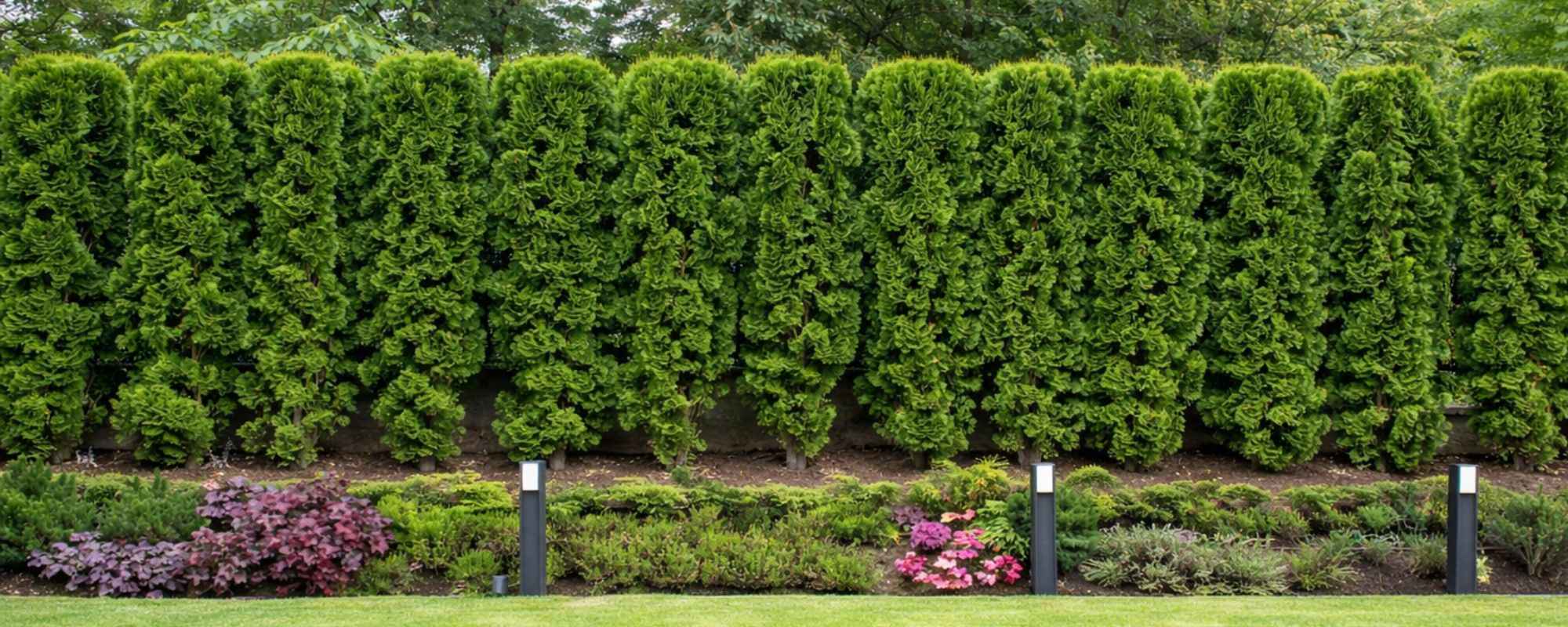 Gardening Services Clapham