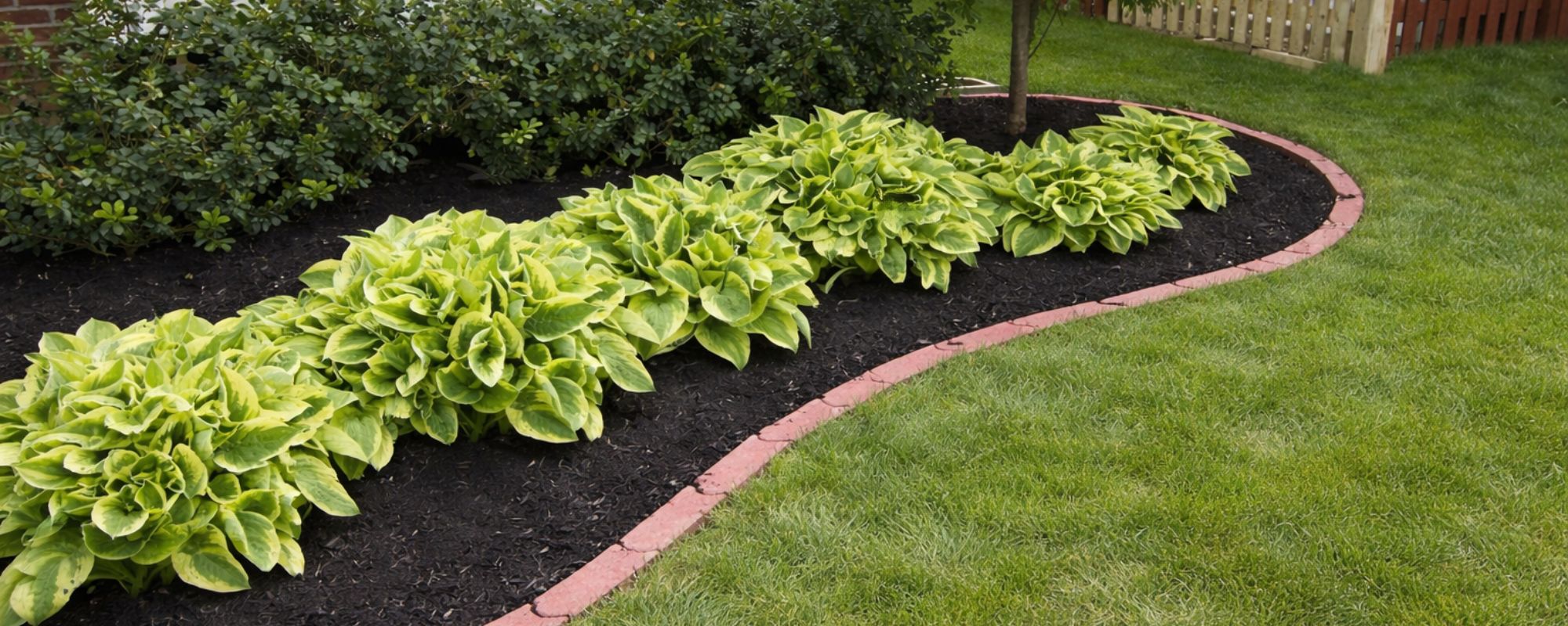 Gardening Services Coulsdon