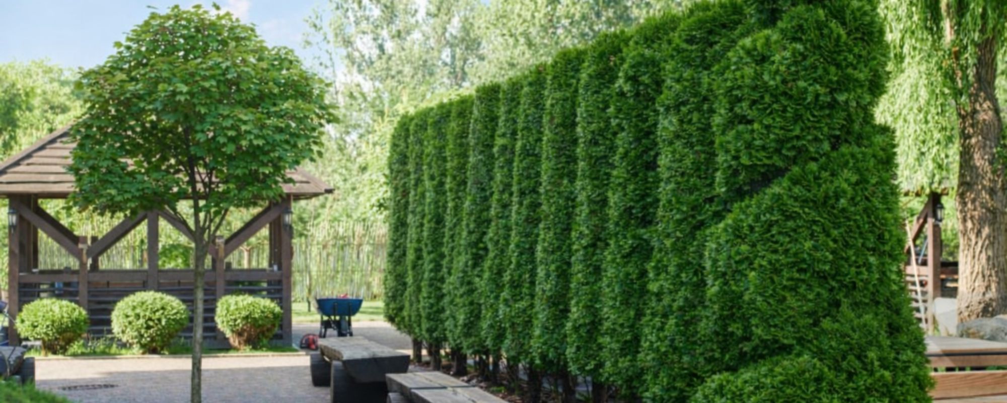 Gardening Services Crystal Palace