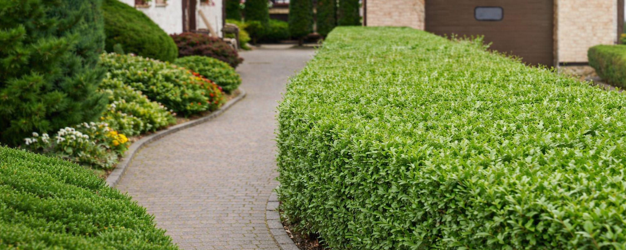 Gardening Services Fulham