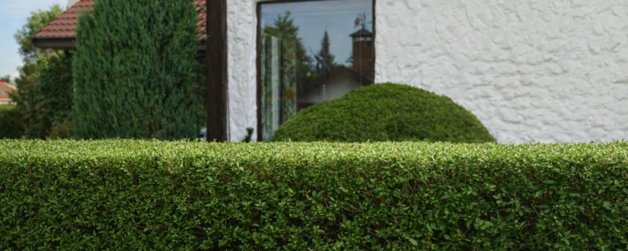 Gardening Services Kennington