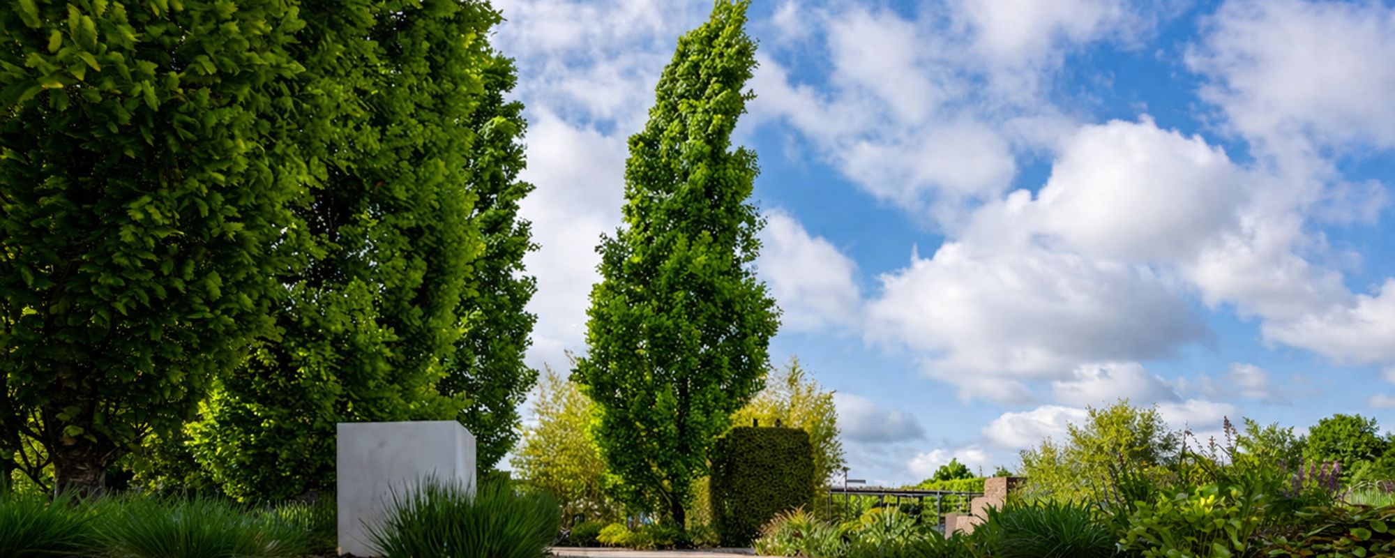 Gardening Services Streatham