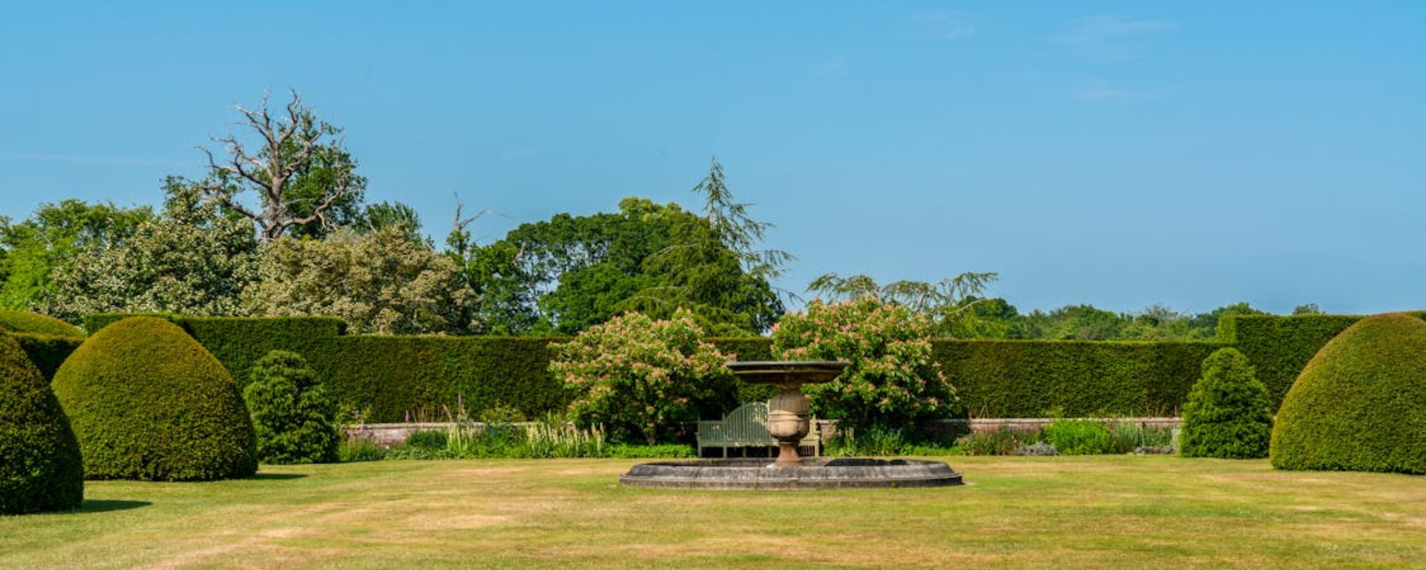 Gardening Services Sutton