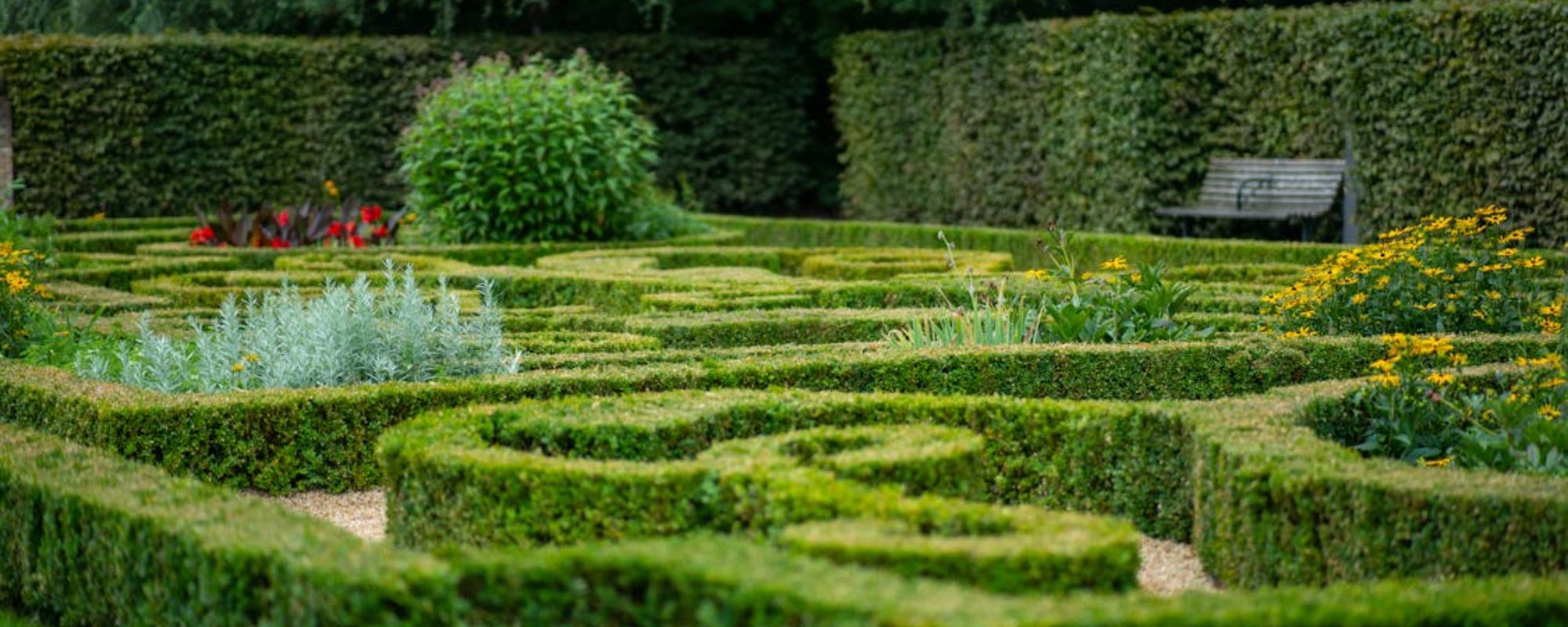 Gardening Services Thornton Heath