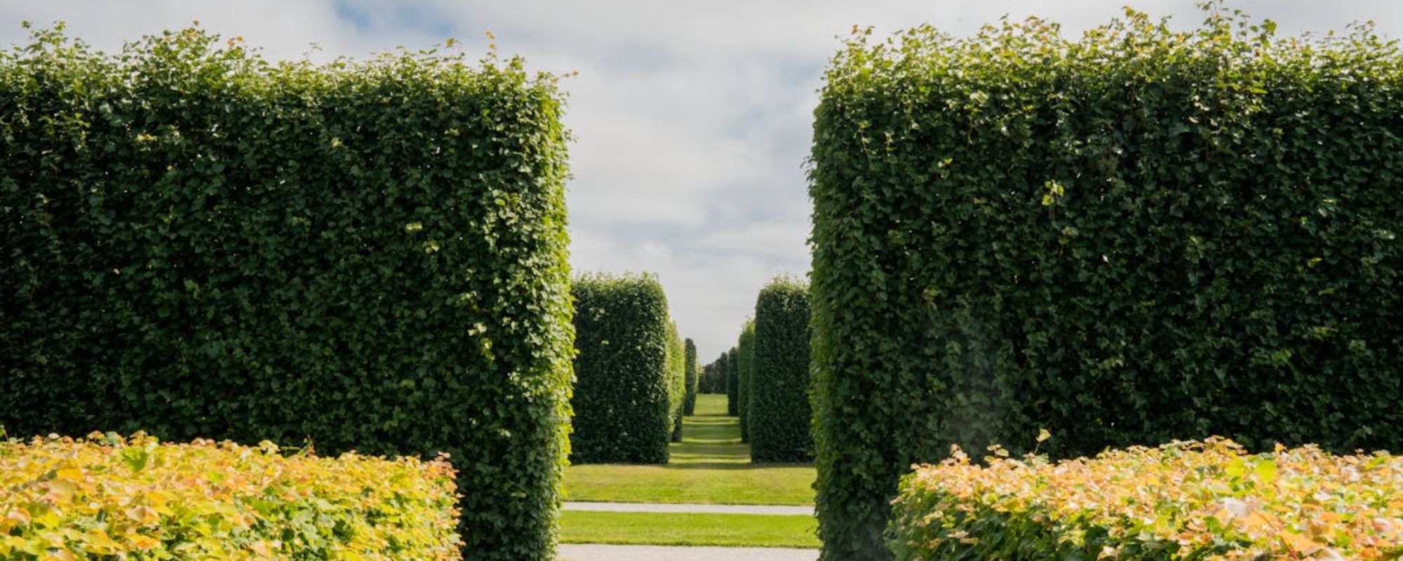 Gardening Services Tooting