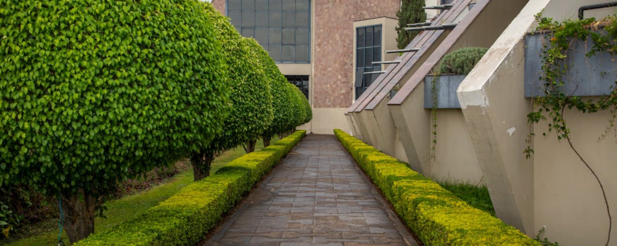 Gardening Services West Wickham