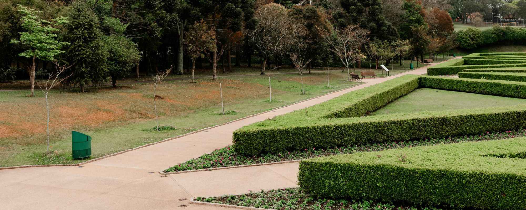 Gardening Services Wimbledon